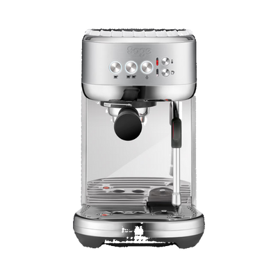 Sage The Bambino Plus - BeanBurds BRG Group Brushed Stainless Steel Espresso Machine