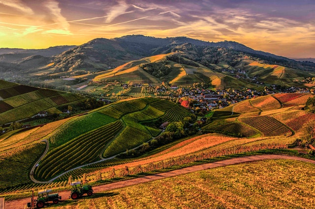  Brown and Green Mountain View Photo  