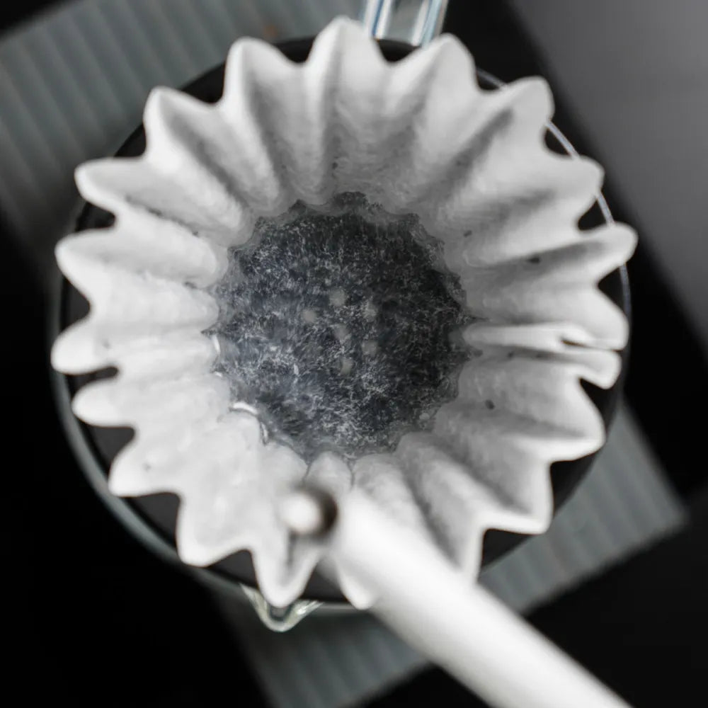 Graycano Coin Flat-Bottom Converter for Graycano Dripper