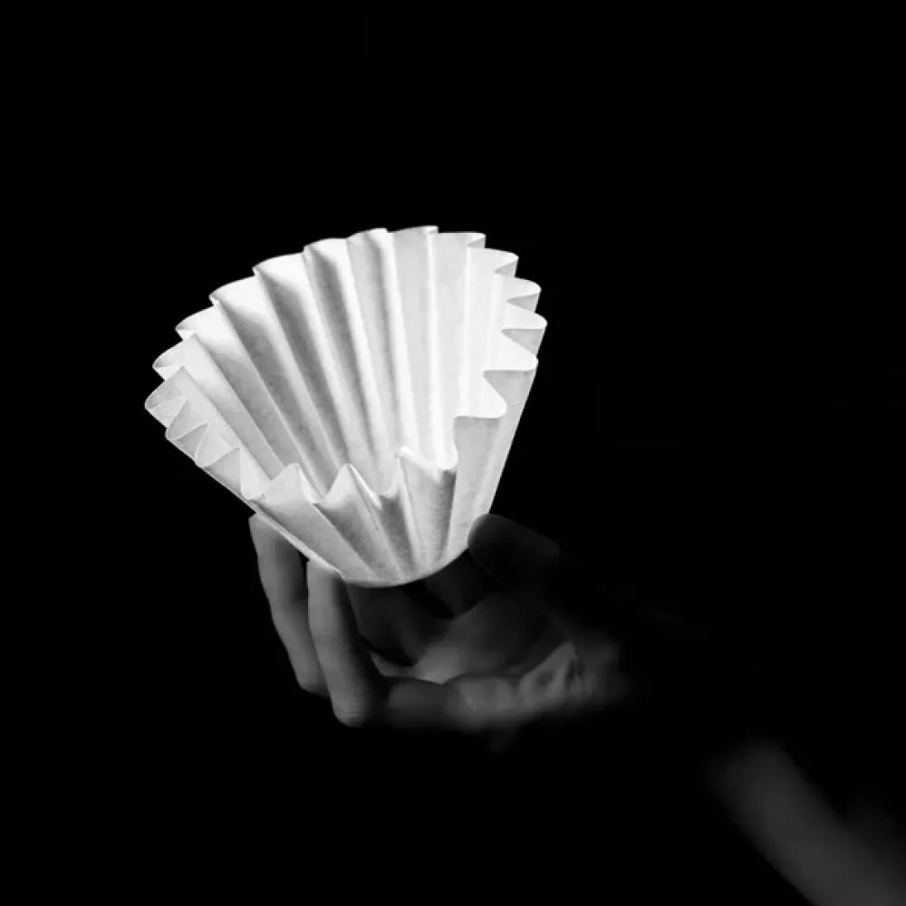 Sibarist FAST Wave Coffee Filter