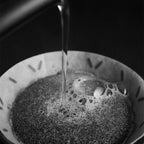 Sibarist FAST Graycano Cone Filter for Graycano Dripper