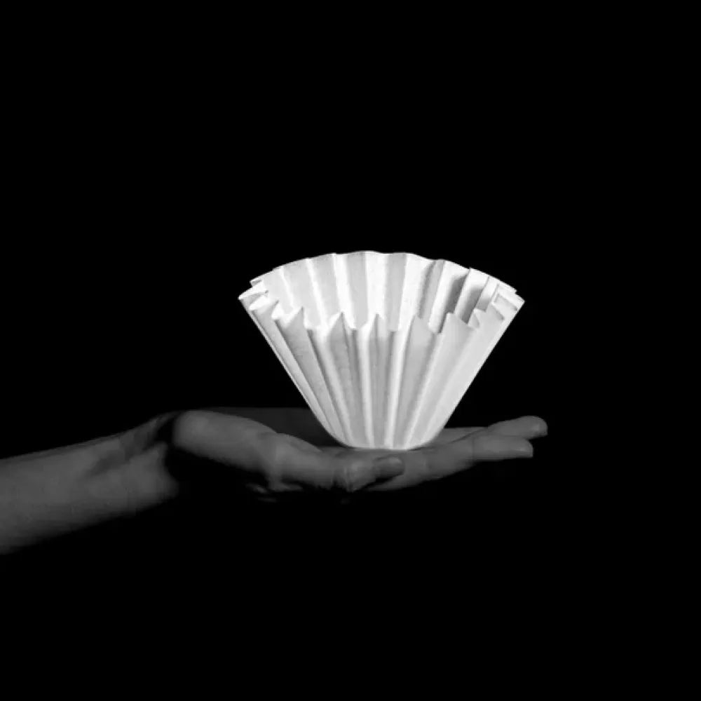 Sibarist FAST Wave Coffee Filter