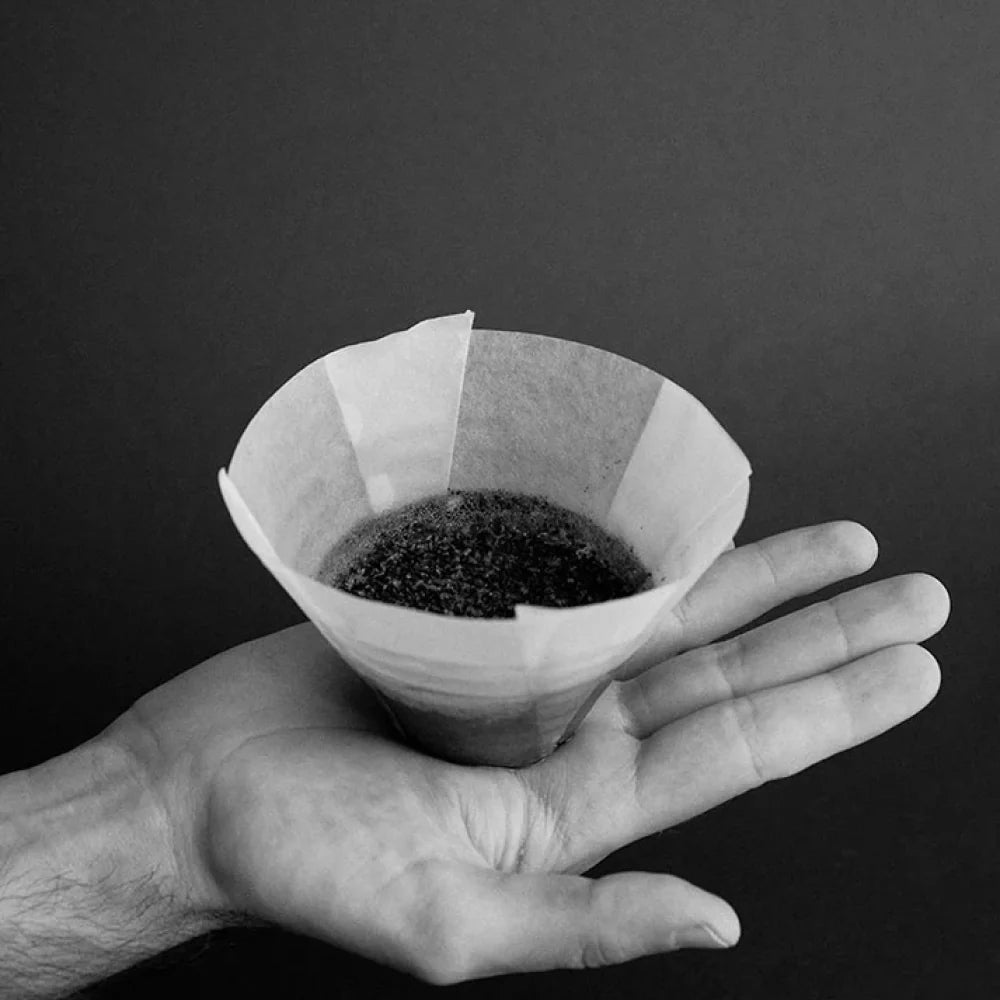 Sibarist B3 Flat Coffee Filter for Small Flatbed Drippers