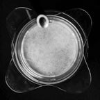 Sibarist FAST Filter Paper for OREA Z1