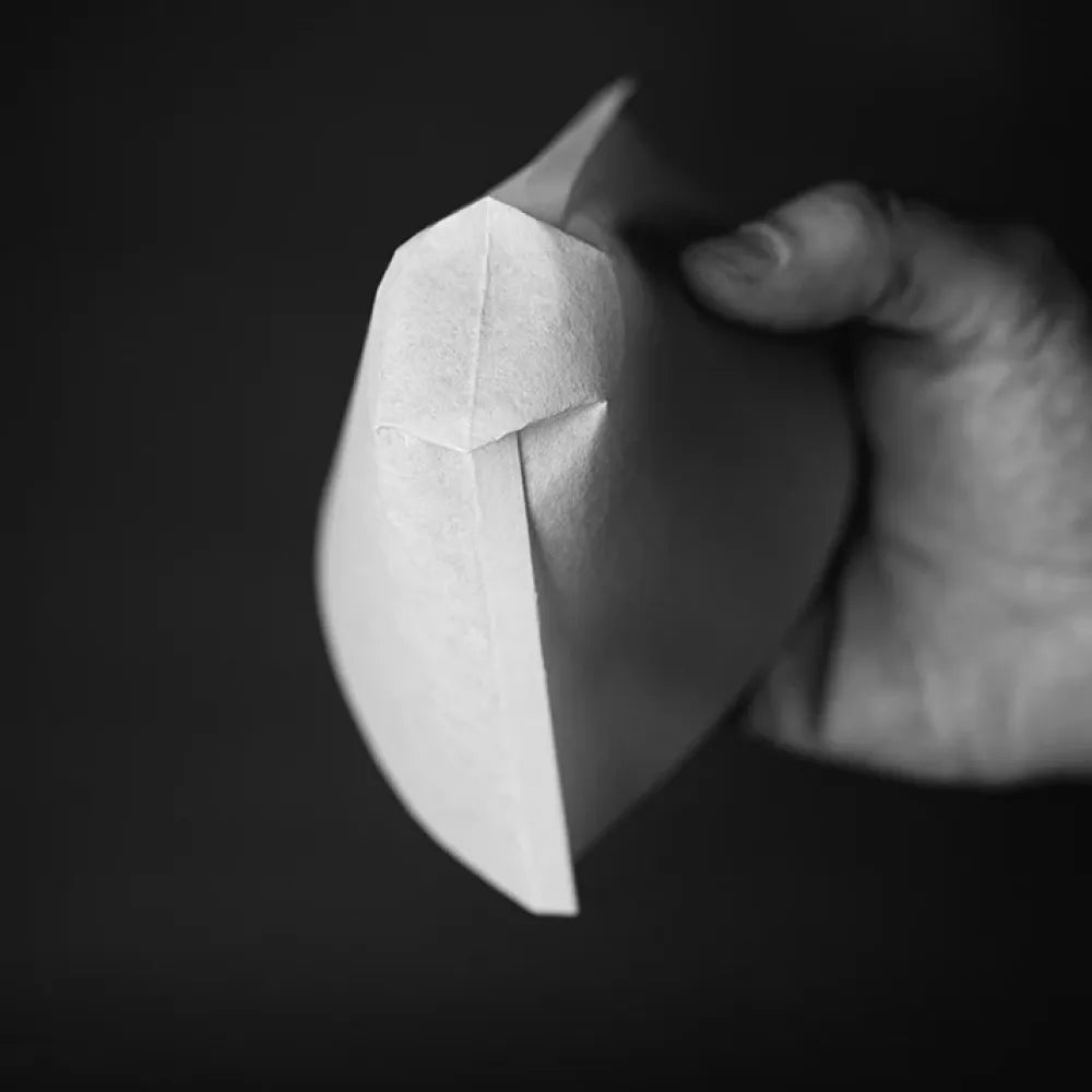 Sibarist FAST Flat 2 Coffee Filter for Flatbed Drippers