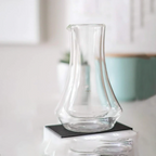 Kruve Evoke Carafe, 600ml - BeanBurds Brewing Gadgets Standard Server