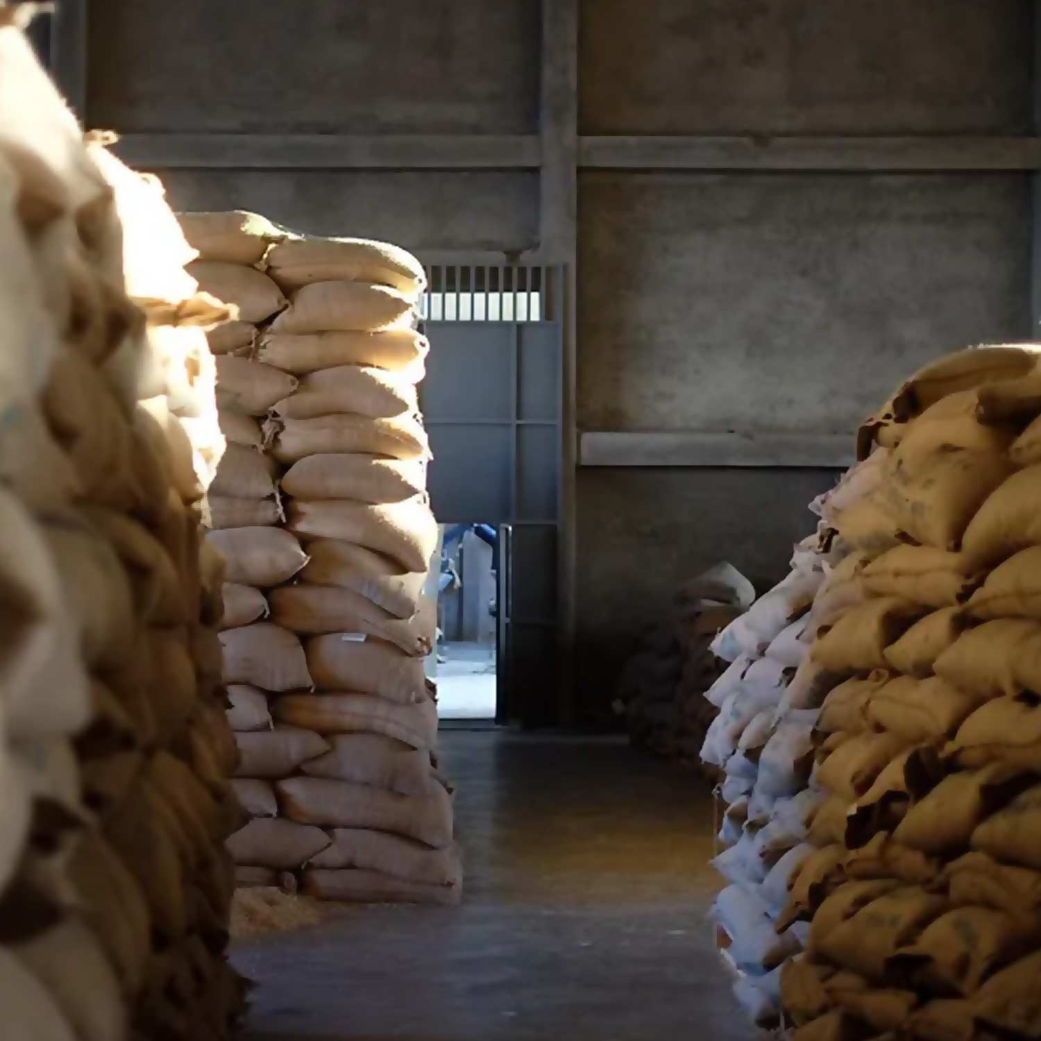 Ethiopia Muri Kercha Guji