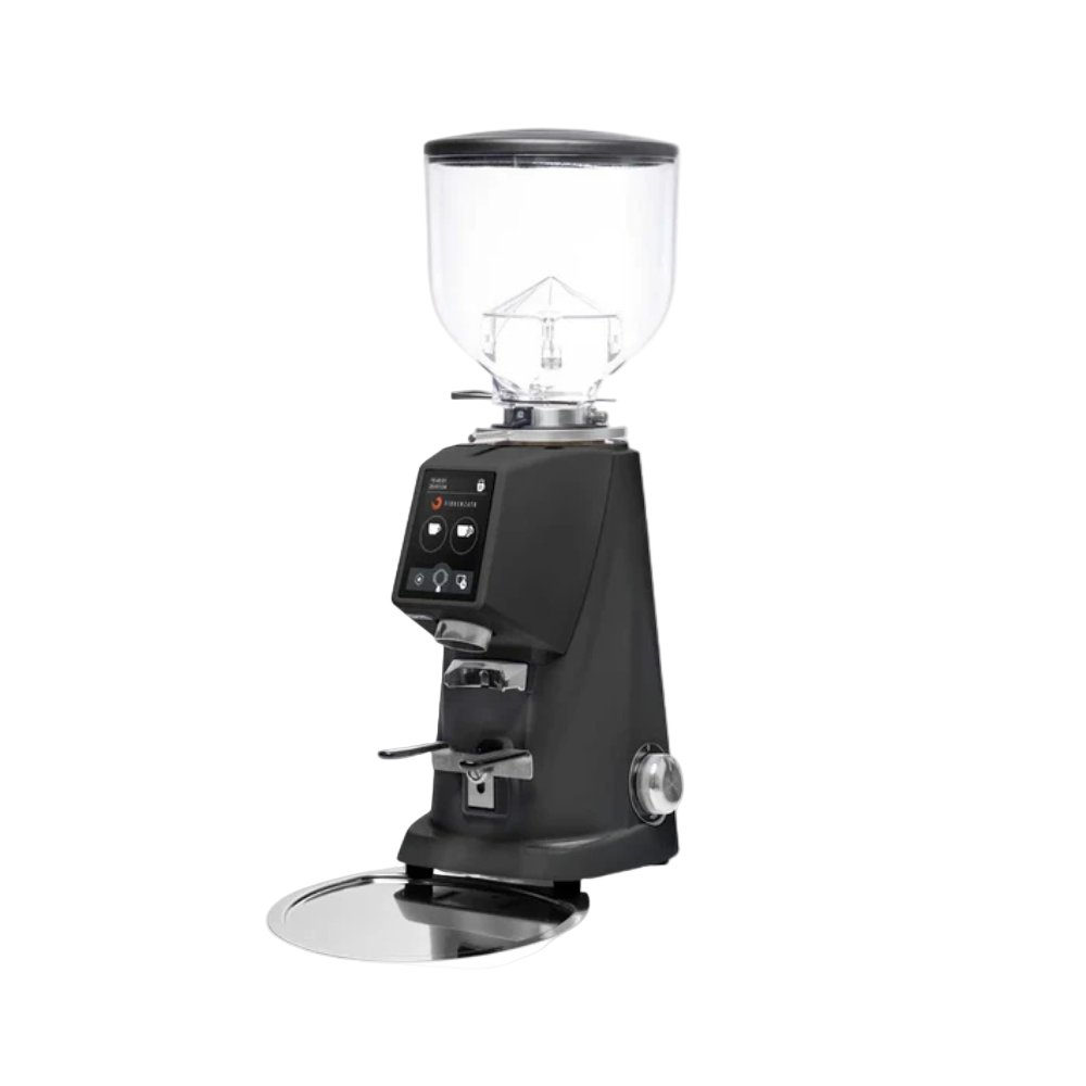 FIORENZATO F4 EVO Coffee Grinder