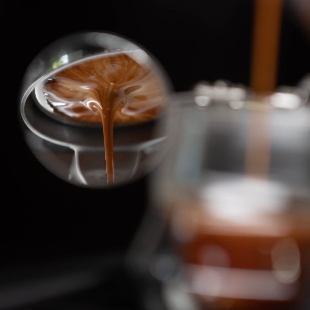 Flair 58 Plus 2 Espresso Maker in Travel Hard Case - BeanBurds Brewing Gadgets Default Title Espresso Machine