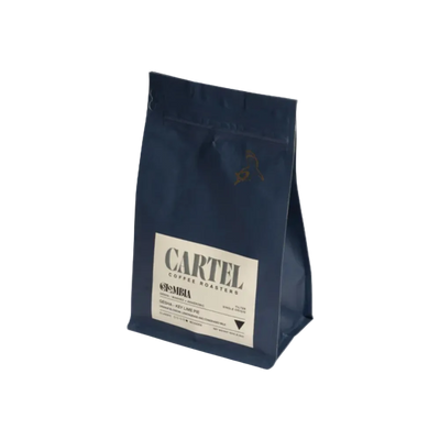 Gesha - Key Lime Pie - BeanBurds Cartel 150 (6 - 7 cups) / Whole Beans Coffee Beans