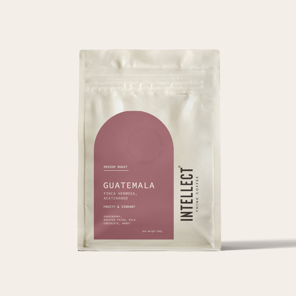 Guatemala by Intellect Coffee - specialty coffee - BeanBurds UAE