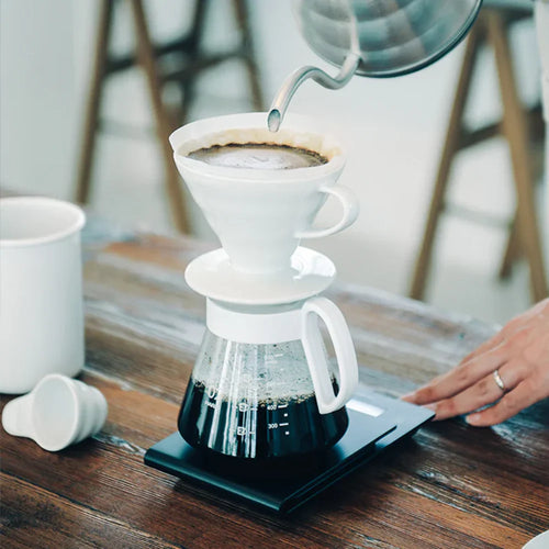 Hario V60 Ceramic Dripper 02 Set White - BeanBurds Brewing Gadgets Standard Coffee Dripper