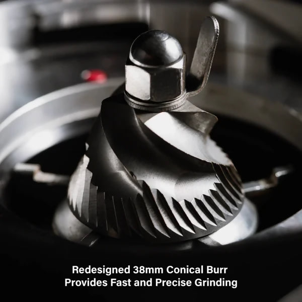 WPM ZD-17OD - BeanBurds Coffx Silver Coffee Machines and Equipment