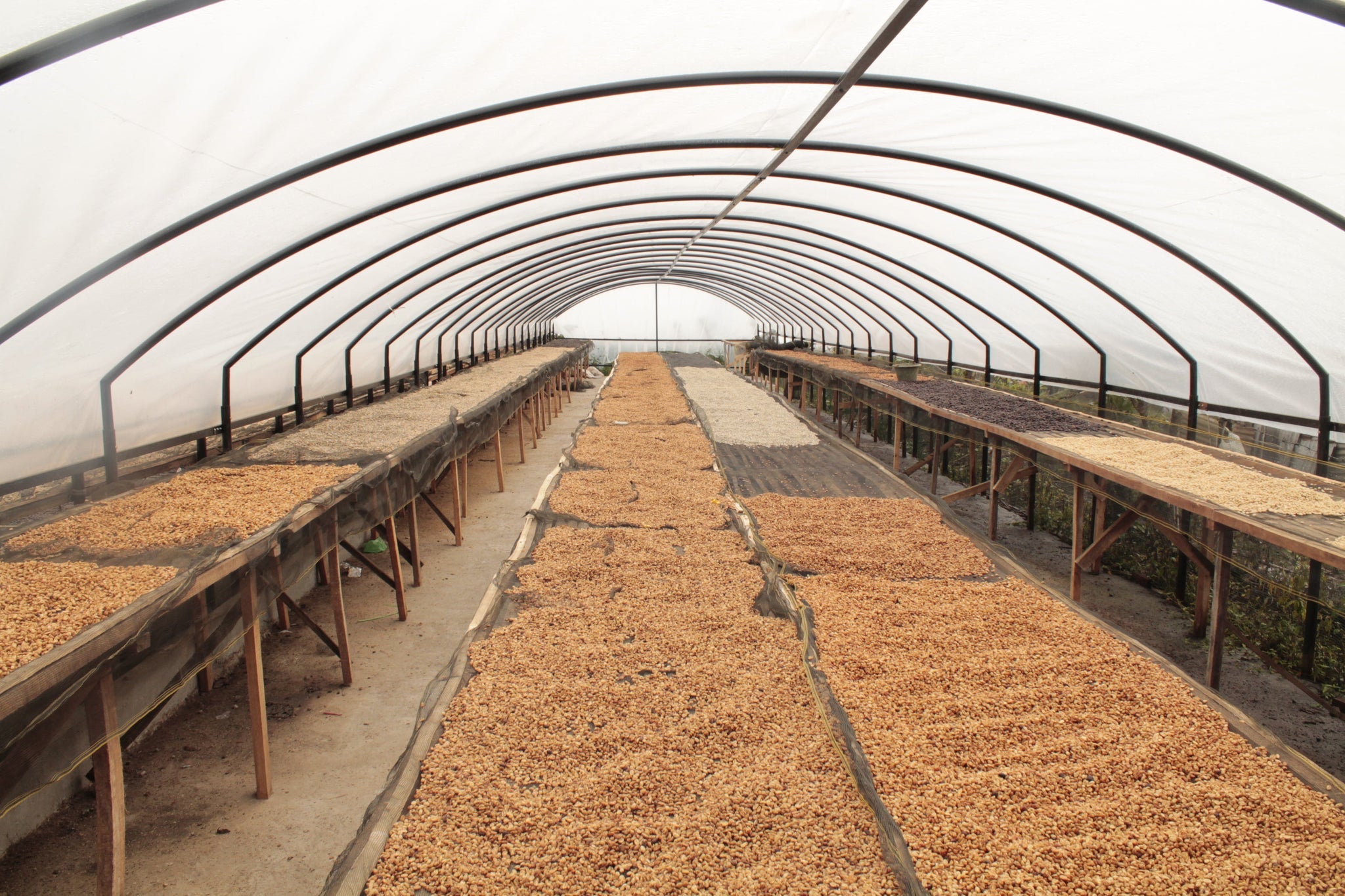 Indonesia Mount Halu, West Java