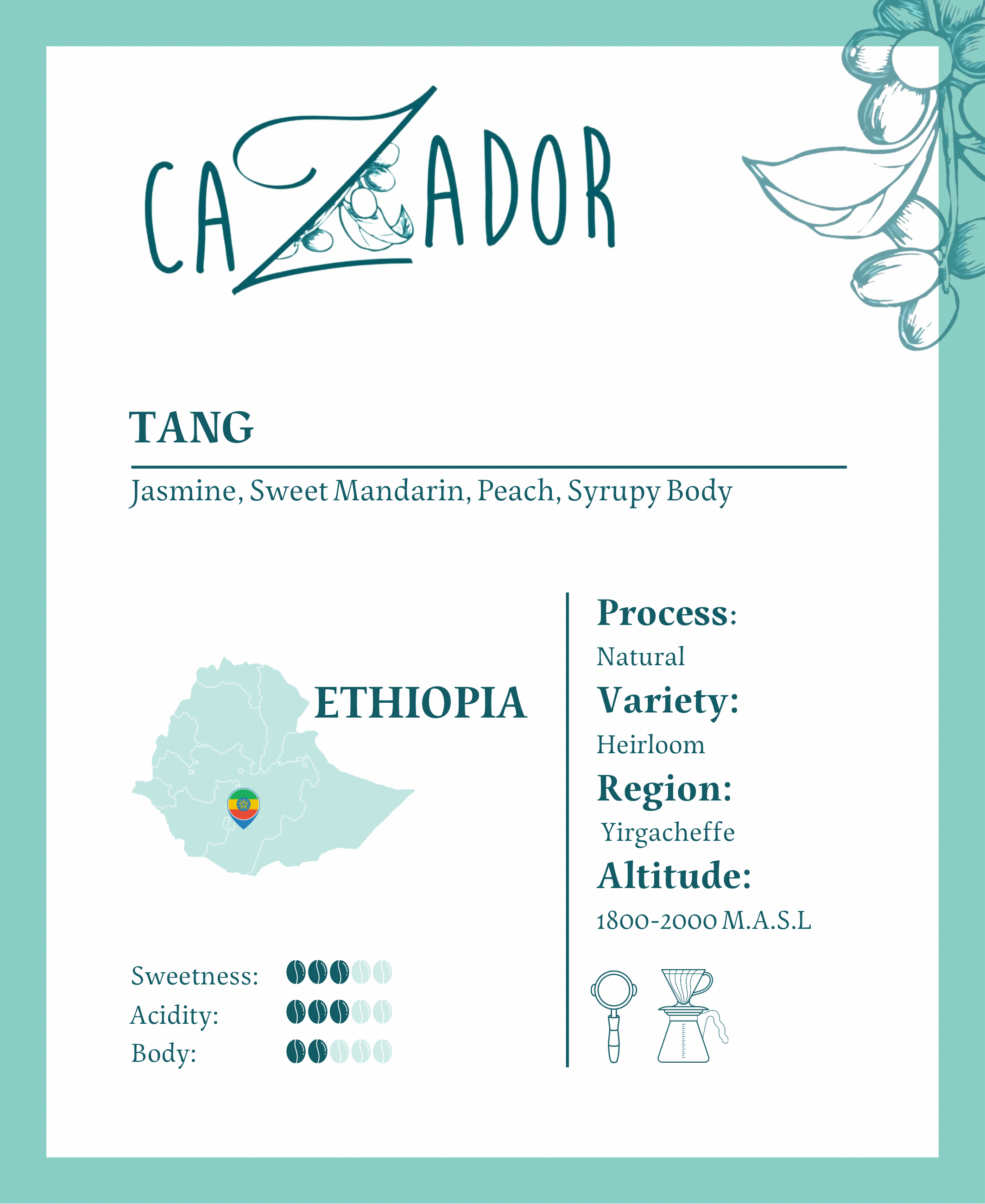 Ethiopia TANG Yirgacheffe - BeanBurds Cazador Roaster Whole Beans / 250g Coffee Beans