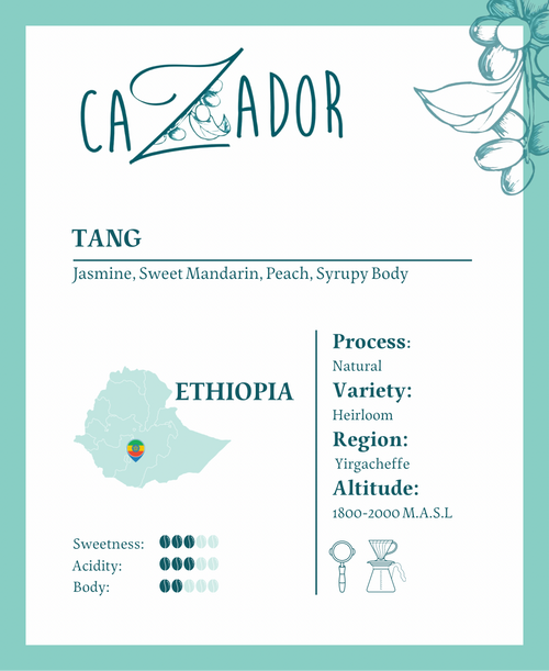 Ethiopia Tang Yirgacheffe - BeanBurds Cazador Roaster 250g (10- 12 Cups) / Whole Beans Coffee Beans