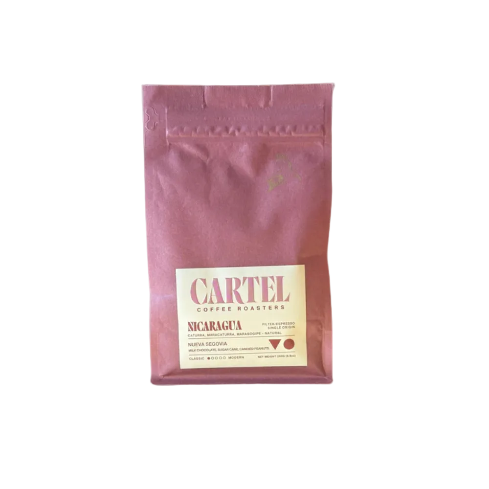 Nicaragua - Nueva Segovia - BeanBurds Cartel 250g (10-12 cups) / Whole Beans Coffee Beans