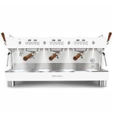 Ascaso Barista T Plus 1-3 Group - BeanBurds Spresso 3 Group / White Espresso Machine