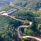 Yi Rong Estates - BeanBurds Emirati Coffee Co 250g (10-12 cups) / Whole Beans Coffee Beans