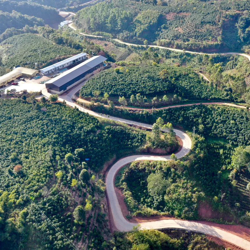 Yi Rong Estates - BeanBurds Emirati Coffee Co 250g (10-12 cups) / Whole Beans Coffee Beans