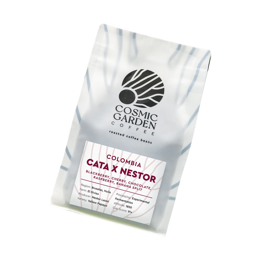 Cata X Nestor rotated transparent hero image