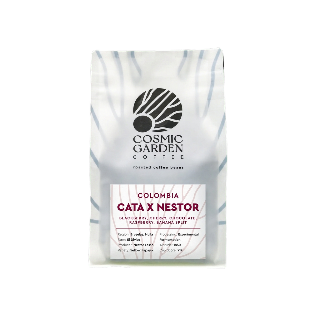 Cata X Nestor — square product photo with transparent padding