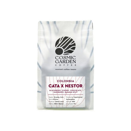 Cata X Nestor