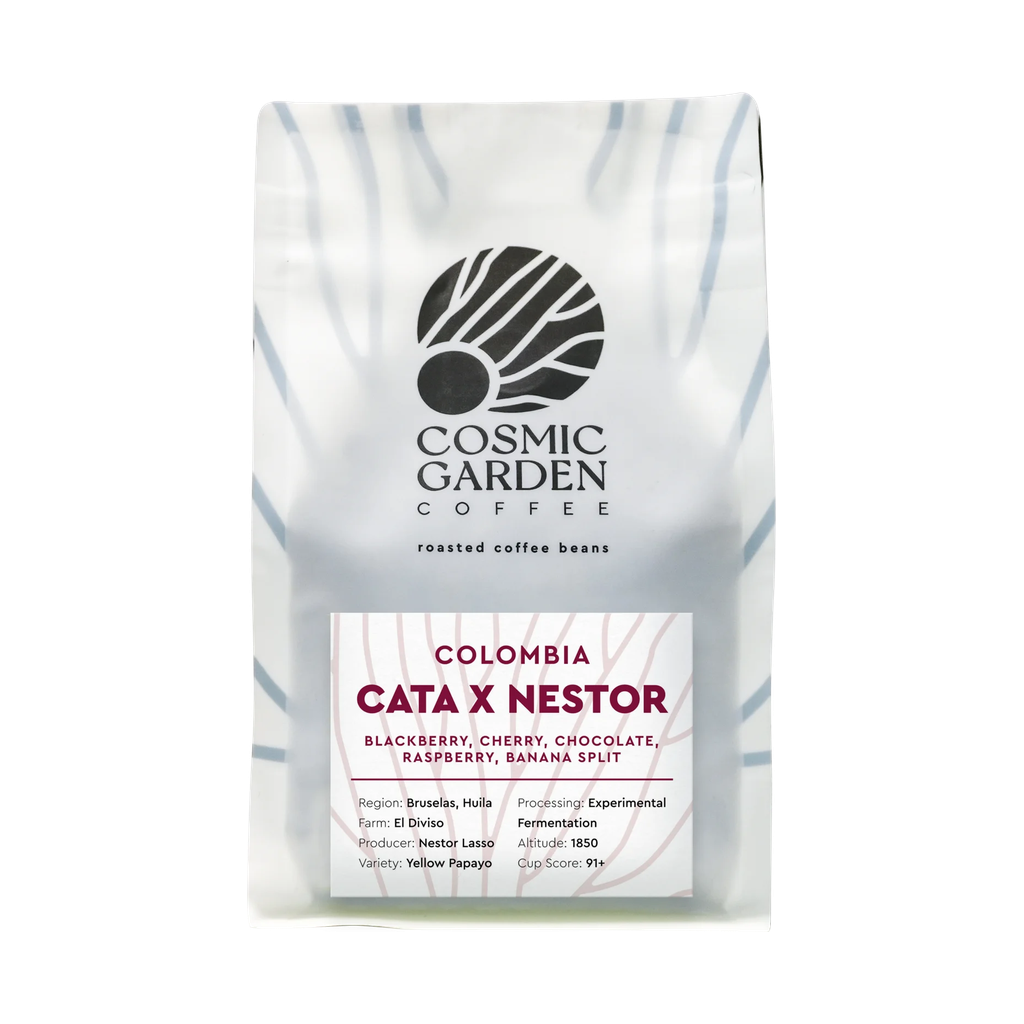 Cata X Nestor transparent hero image