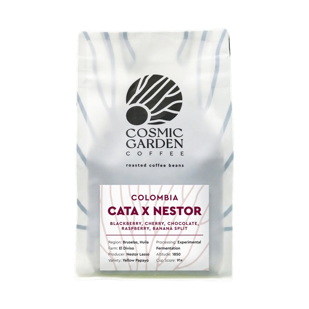 Cata X Nestor — upright transparent coffee hero