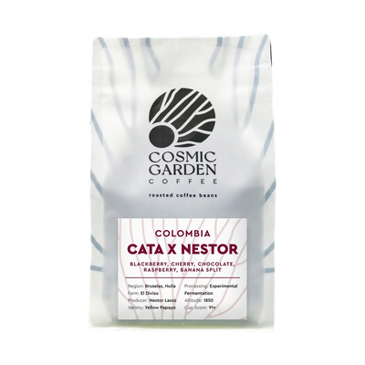Cata X Nestor — upright transparent coffee hero