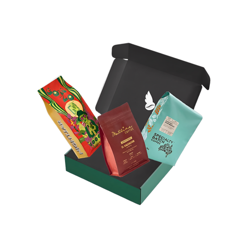 Coffee Discovery Pack — square product photo with transparent padding