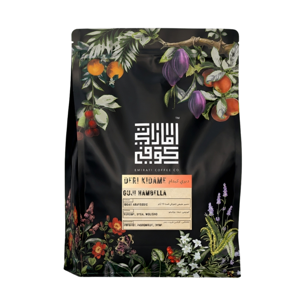 Ethiopia - Deri Kidame upright transparent hero image
