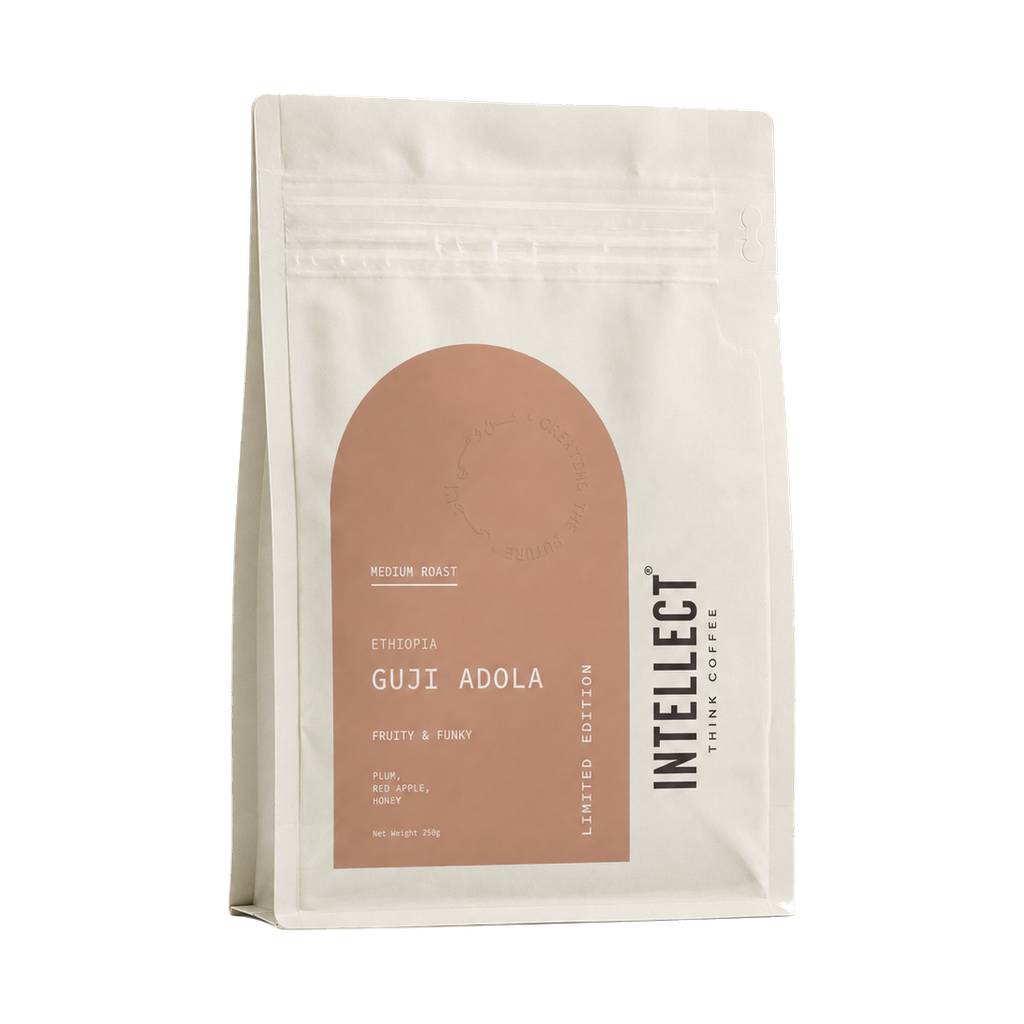 Ethiopia Guji Adola — transparent upright 15-degree yaw hero