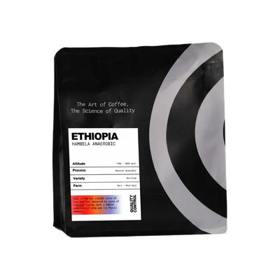 Ethiopia Hambela Anaerobic — square product photo with transparent padding