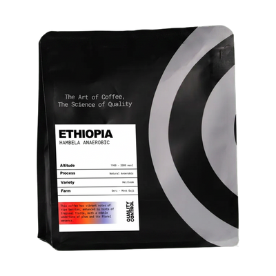 Ethiopia Hambela Anaerobic — upright transparent coffee hero