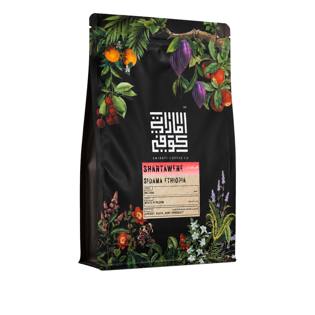 Ethiopia Shantawene transparent upright 15-degree yaw hero