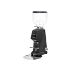 FIORENZATO F4 EVO Coffee Grinder — square product photo with transparent padding