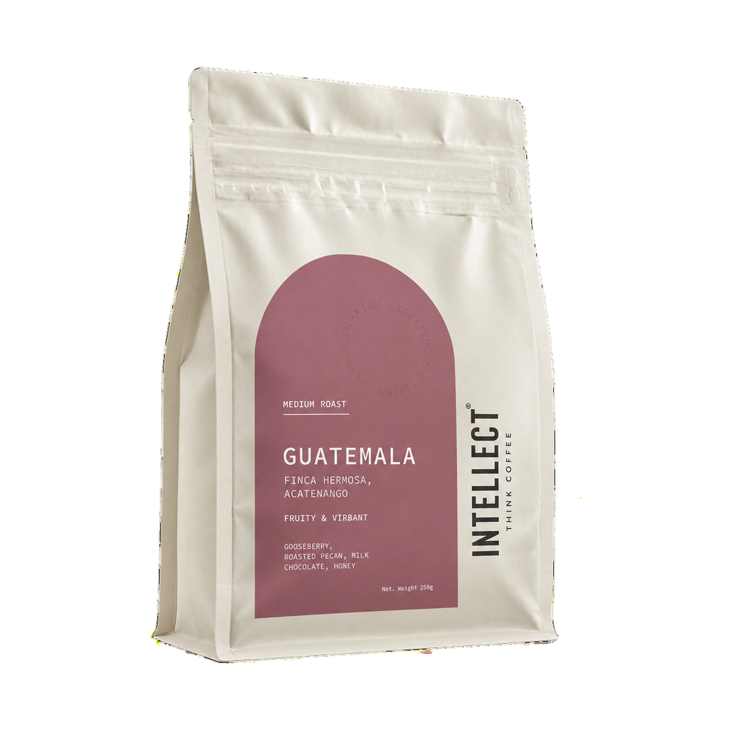 Guatemala — transparent upright 15-degree yaw hero