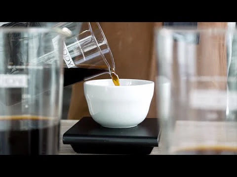 Toddy Cold Brew Cupping Kit Tree Free Filter - Pack of 50 - BeanBurds Brewing Gadgets Default Title Cold Brew