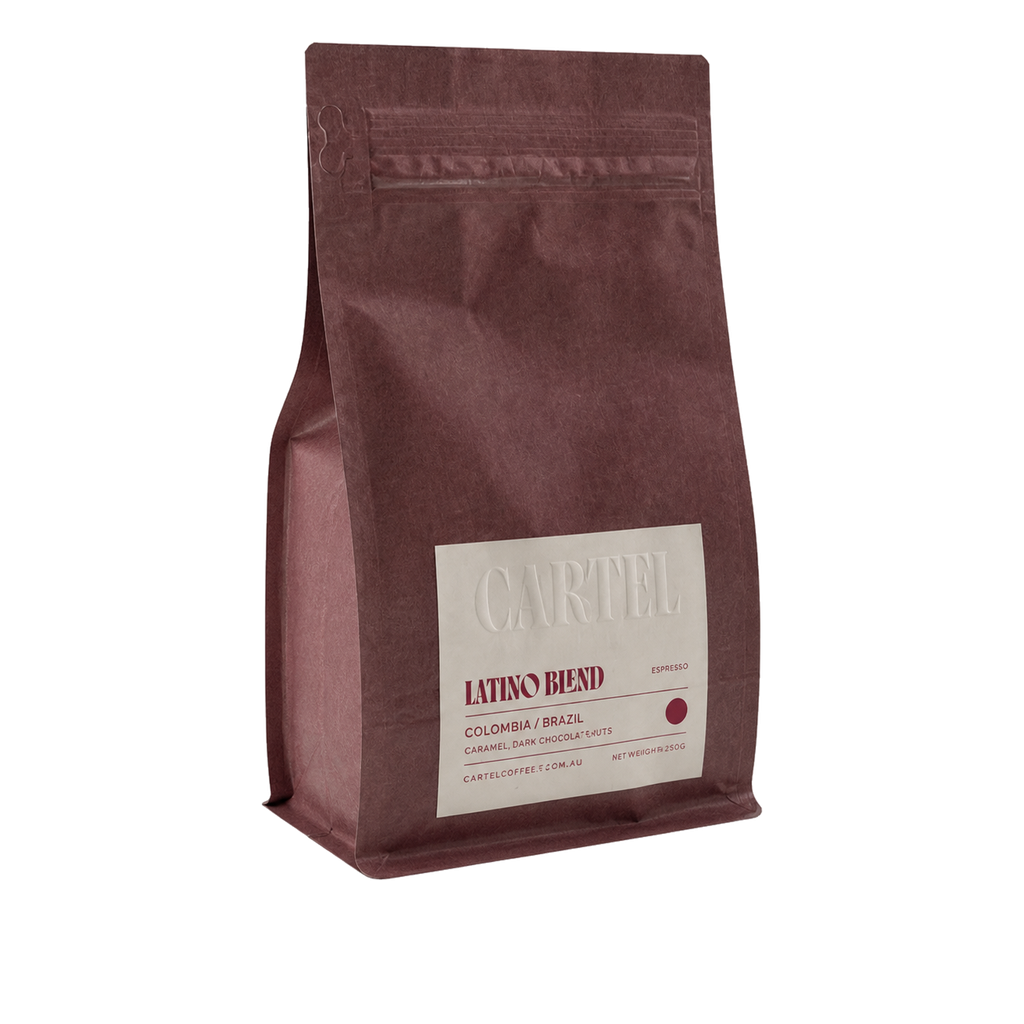 Latino Blend transparent upright 15-degree yaw hero
