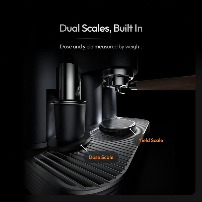 Dual scales