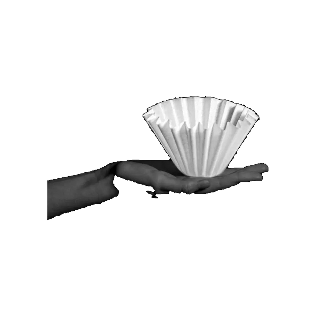 Sibarist FAST Wave Coffee Filter