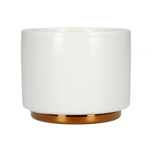 Fellow - Monty Milk Art Cup Cappuccino 190ml - BeanBurds CoffeeDesk Matte White Coffee Machines and Equipment