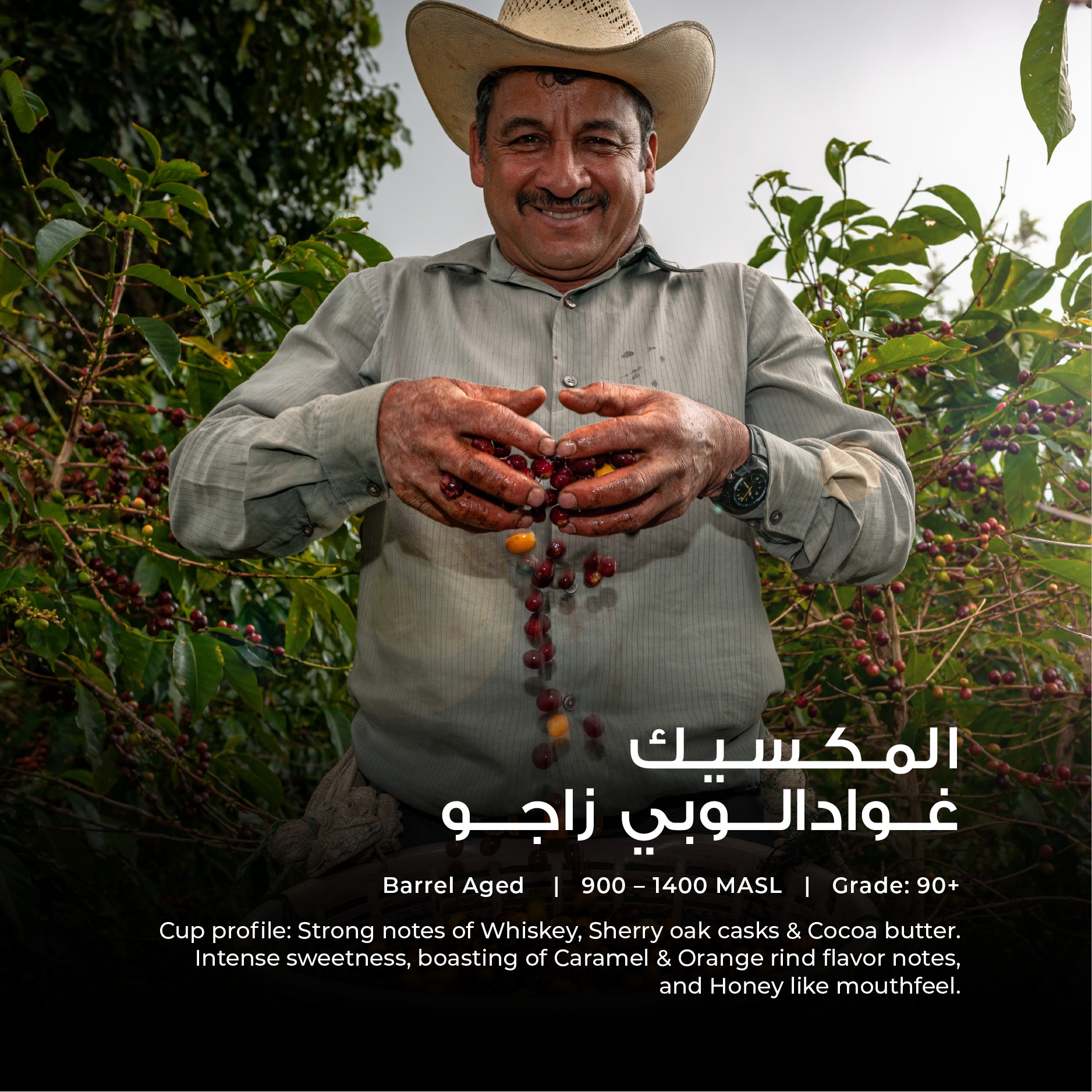 Mexico - Guadalupe Zaju (BARREL AGED)