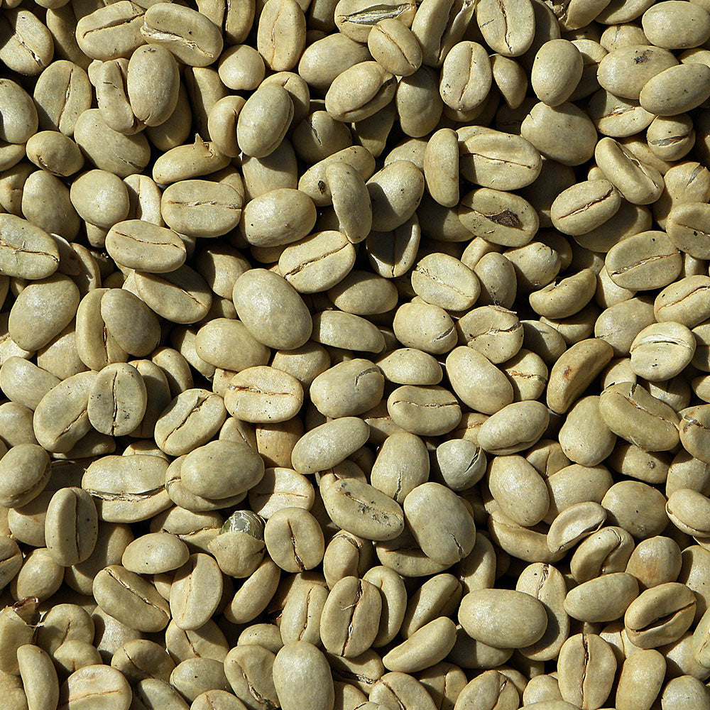 Arabic Green Beans - 1kg - BeanBurds BeanBurds