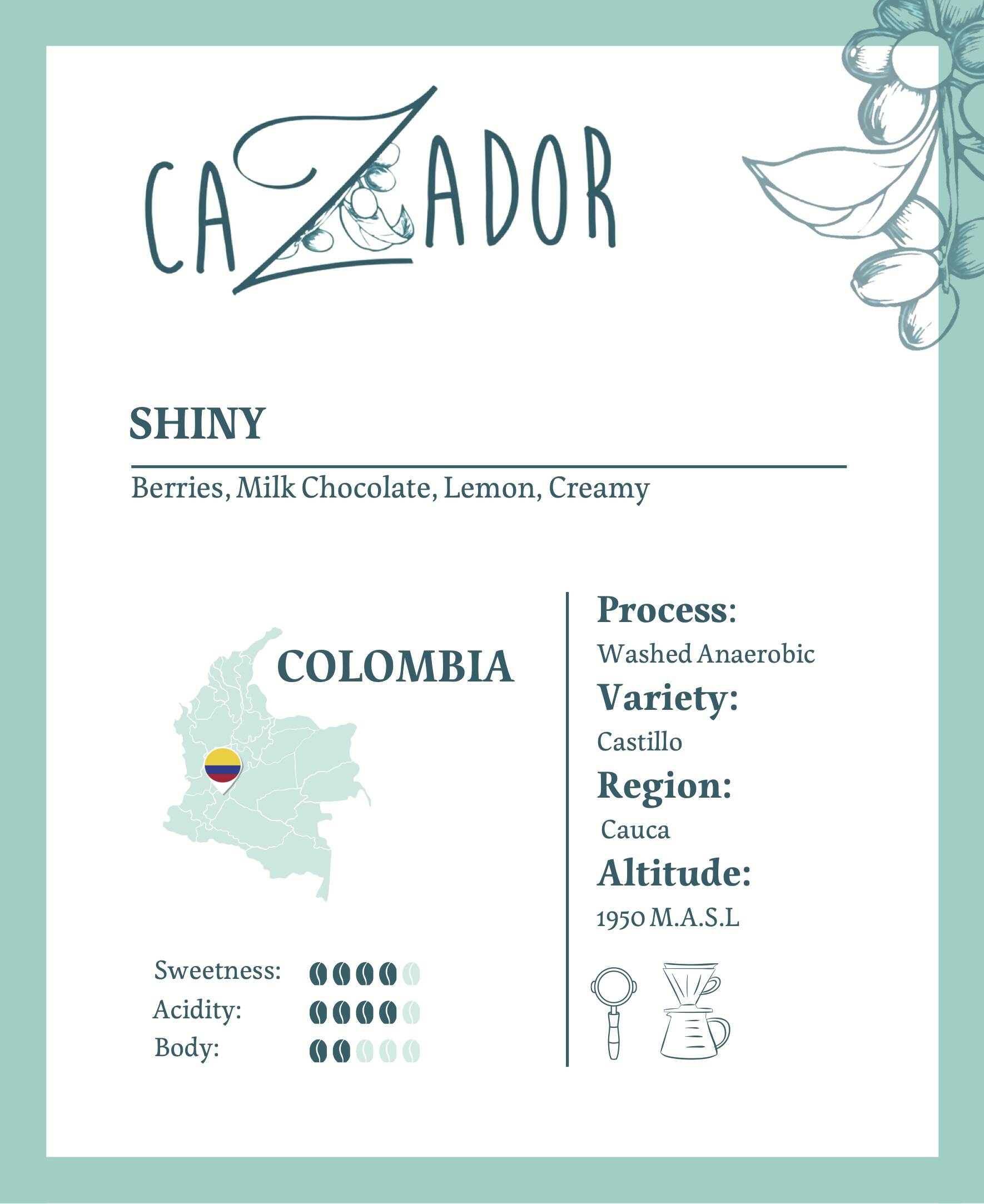 Colombia Shiny Cauca - BeanBurds Cazador Roaster